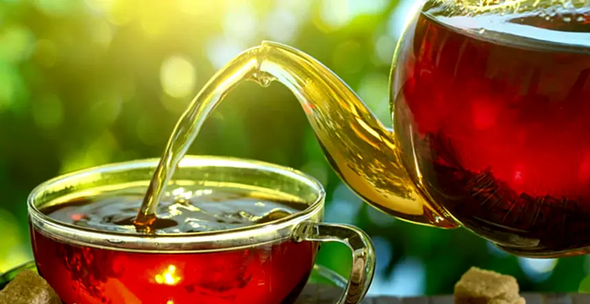 Endüstriyel Çay Kazanı Tercih Ederken Nelere Dikkat Edilmeli